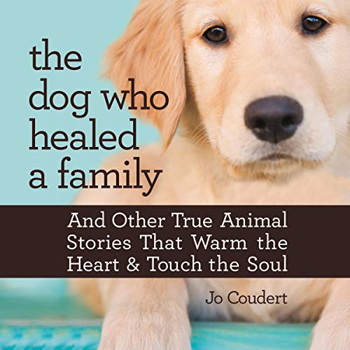 Cover of The Dog Who Healed a Family