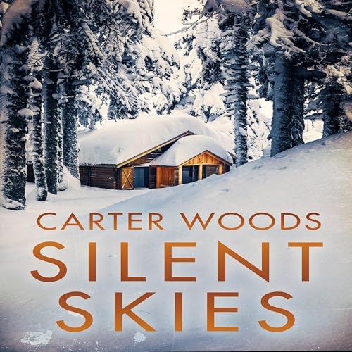 Cover of Silent Skies