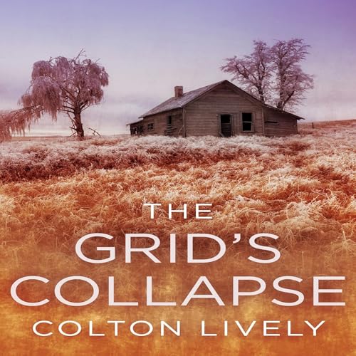 Cover of The Grid's Collapse