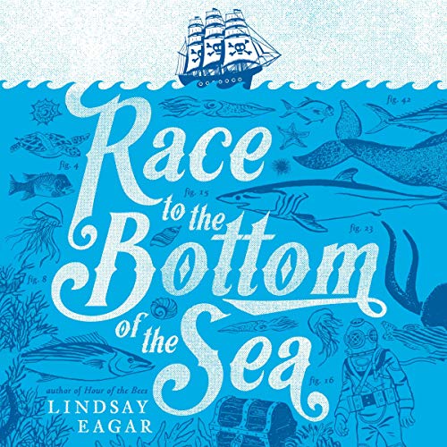Cover of Race to the Bottom of the Sea