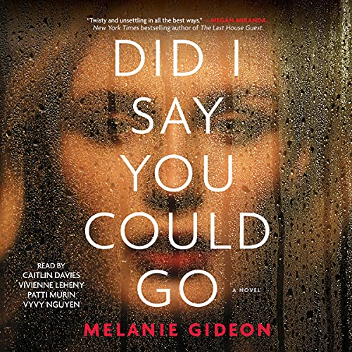 Cover of Did I Say You Could Go