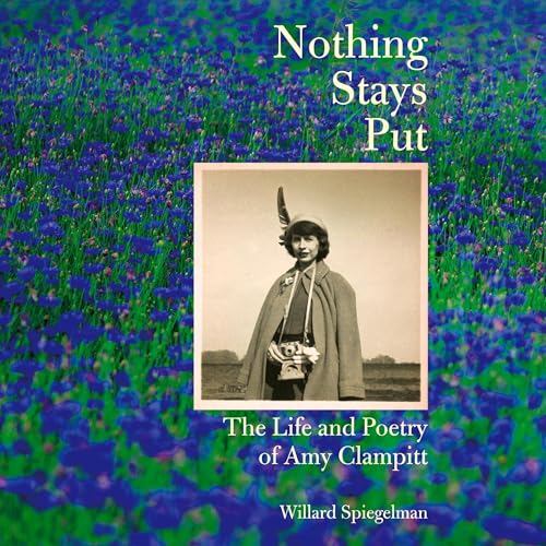 Cover of Nothing Stays Put