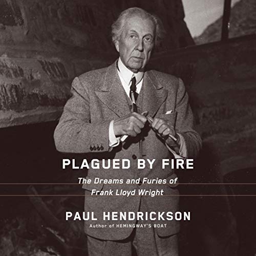 Cover of Plagued by Fire