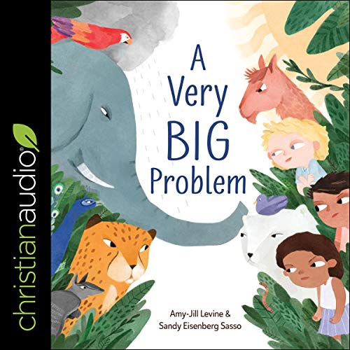 Cover of A Very Big Problem