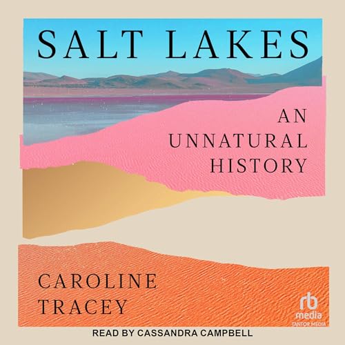 Cover of Salt Lakes