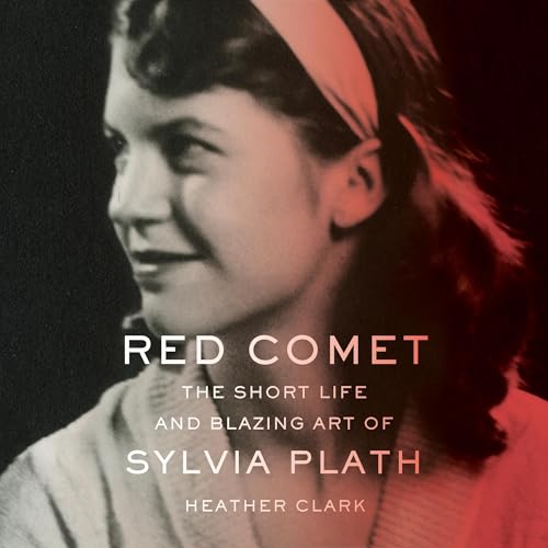 Cover of Red Comet