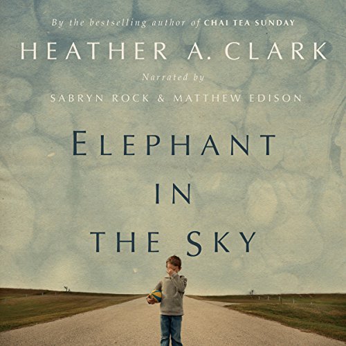 Cover of Elephant in the Sky