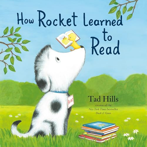 Cover of How Rocket Learned to Read