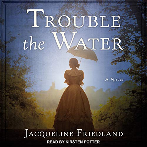 Cover of Trouble the Water