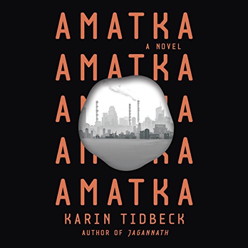 Cover of Amatka