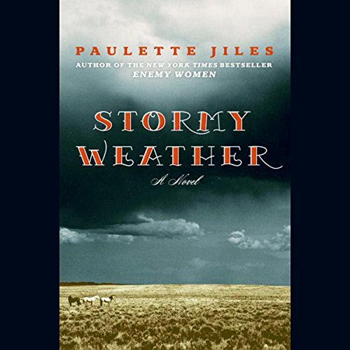 Cover of Stormy Weather