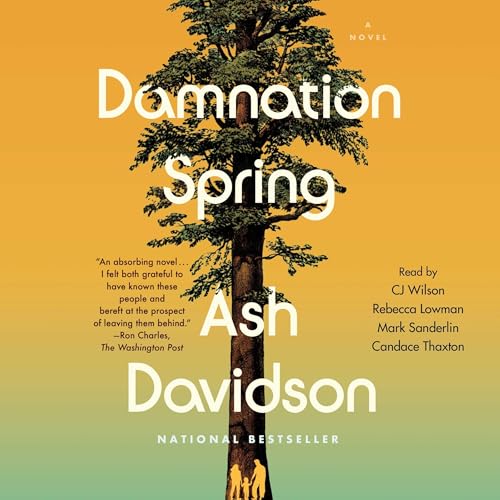 Cover of Damnation Spring