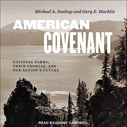 Cover of American Covenant