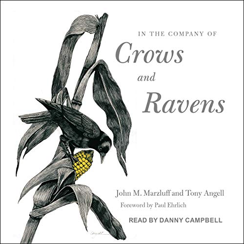 Cover of In the Company of Crows and Ravens