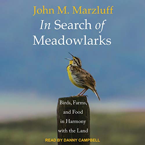 Cover of In Search of Meadowlarks