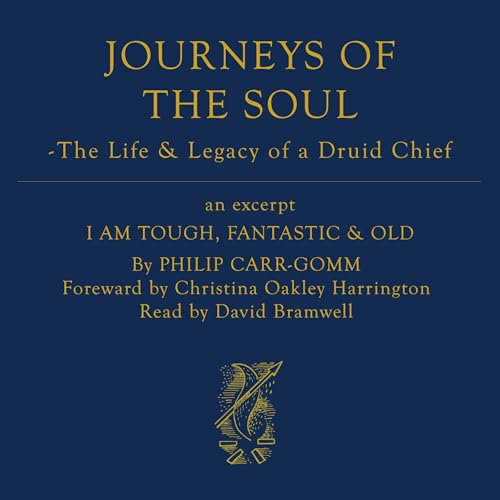 Cover of Journeys of the Soul