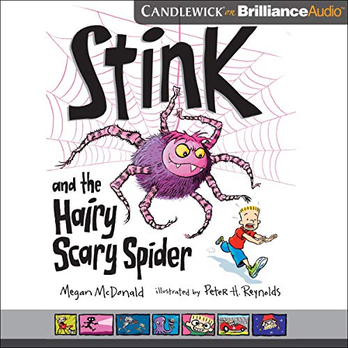 Cover of Stink and the Hairy Scary Spider