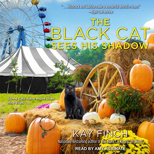 Cover of The Black Cat Sees His Shadow