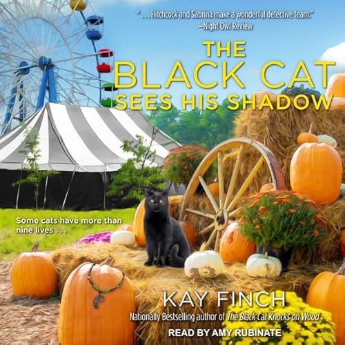 Cover of The Black Cat Sees His Shadow