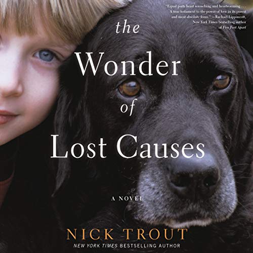 Cover of The Wonder of Lost Causes