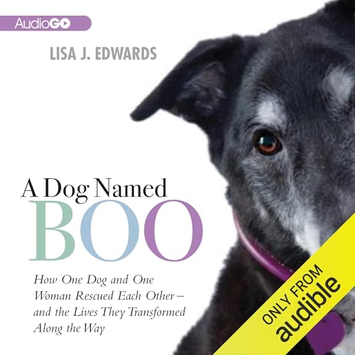 Cover of A Dog Named Boo