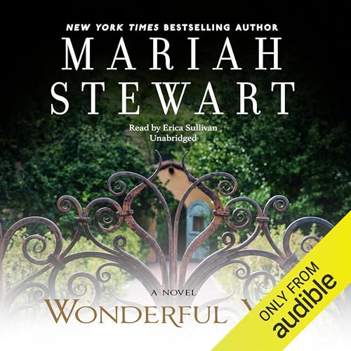 Cover of Wonderful You