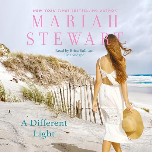 Cover of A Different Light
