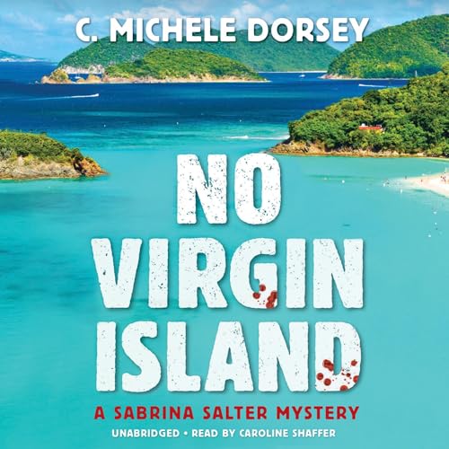 Cover of No Virgin Island
