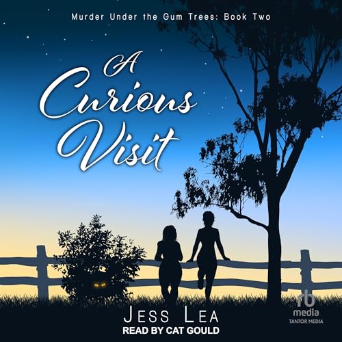 Cover of A Curious Visit
