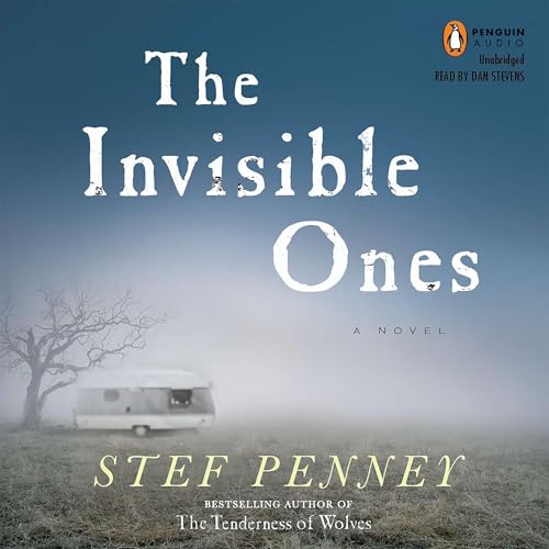 Cover of The Invisible Ones