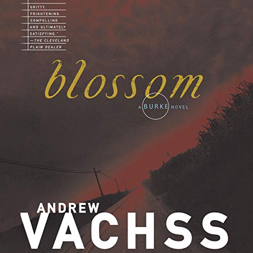 Cover of Blossom