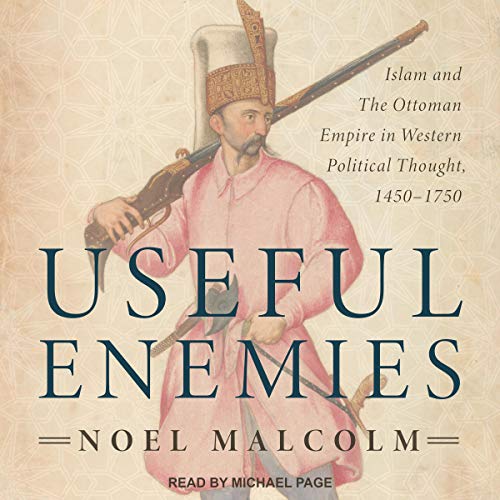 Cover of Useful Enemies