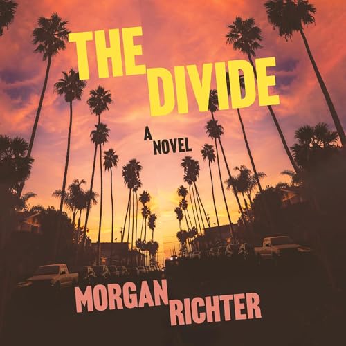Cover of The Divide