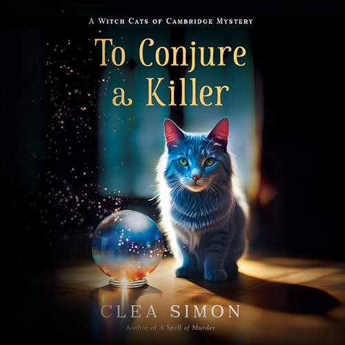 Cover of To Conjure a Killer