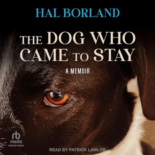 Cover of The Dog Who Came to Stay