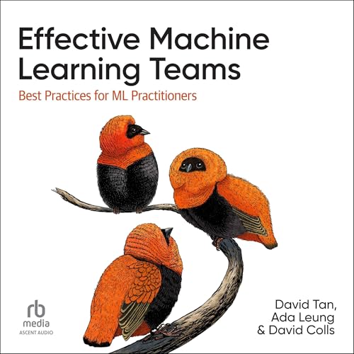 Cover of Effective Machine Learning Teams