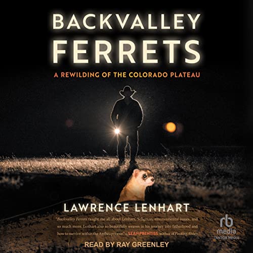 Cover of Backvalley Ferrets