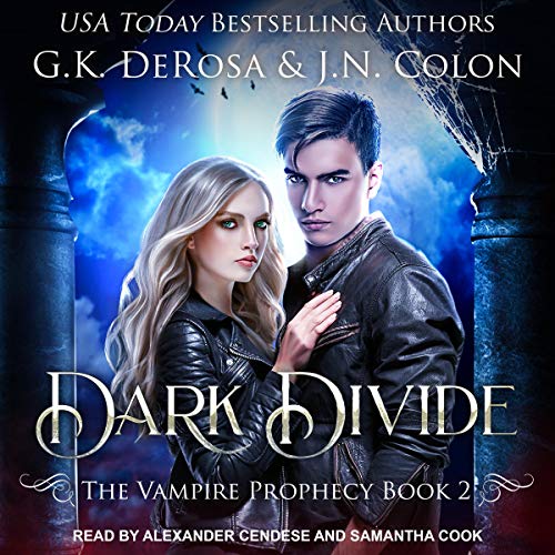 Cover of Dark Divide