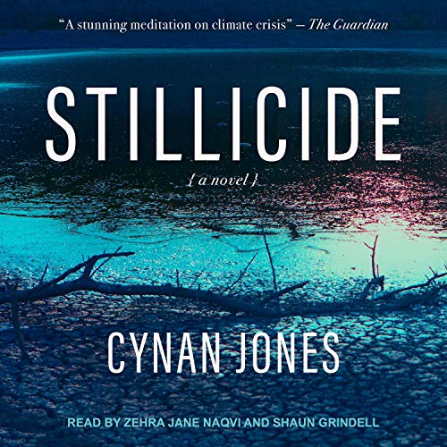 Cover of Stillicide