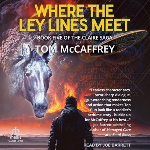 Cover of Where The Ley Lines Meet