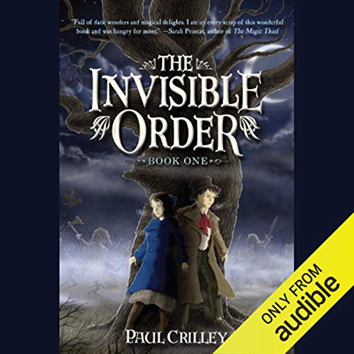 Cover of The Invisible Order