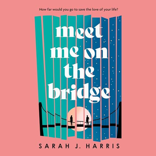 Cover of Meet Me on the Bridge
