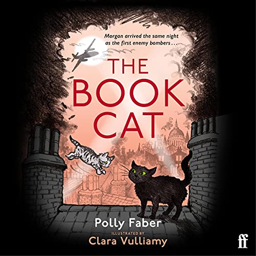 Cover of The Book Cat