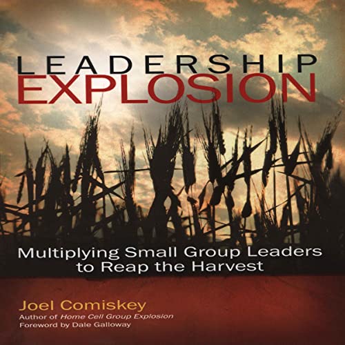 Cover of Leadership Explosion