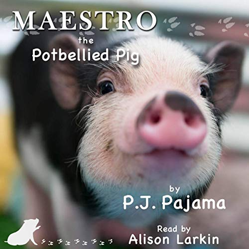 Cover of Maestro, the Potbellied Pig