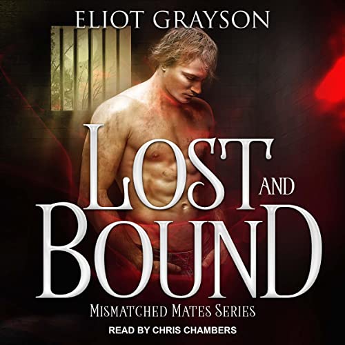 Cover of Lost and Bound