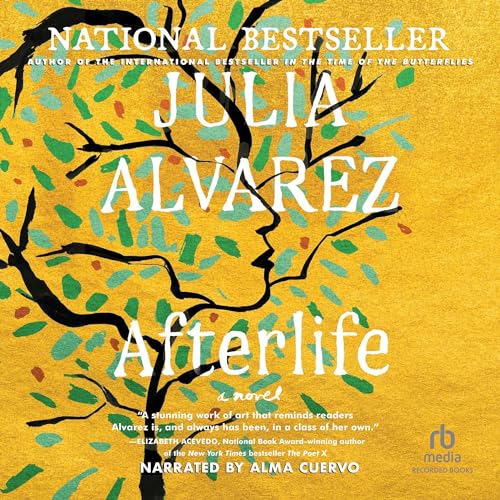 Cover of Afterlife