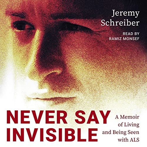 Cover of Never Say Invisible