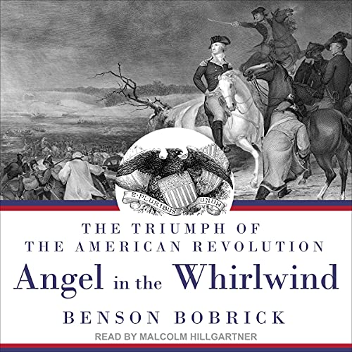 Cover of Angel in the Whirlwind