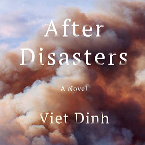 Cover of After Disasters